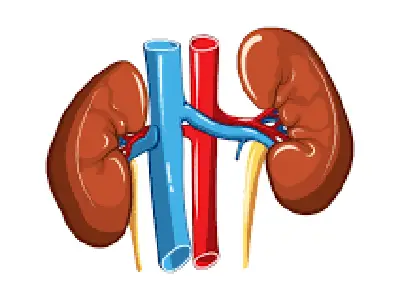 Diabetic Kidney Disease | Dr. Anusha Handral